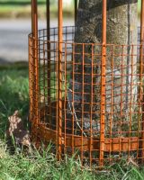 Close Up Of The Wrought Iron Burghley Tree Guard Close Up Of The Wrought Iron Burghley Tree Guard