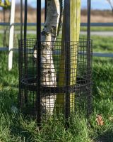 Close up Of The Wire To Prevent From Pests 