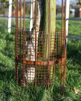 Complete With A Wire Cover To Keep Pests Out Complete With A Wire Cover To Keep Pests Out