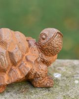 Close up Of Rustic Tortoise Garden Sculpture