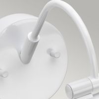Swan Neck on White LED Light