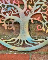 Close up of tree trunk 