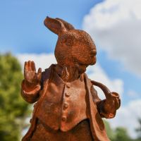 Close up of Hare Head & Body