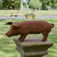 Side view of Iron Pig Sculpture on Plinth 