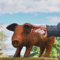 Extra Large Cast Iron Pig Sculpture 