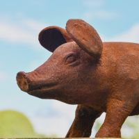 Side view of Cast Iron Pig Sculpture 