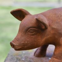 Close up of Pig Rustic Cast Iron Sculpture 