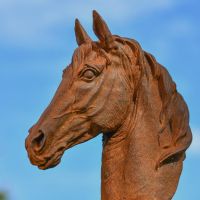 Close up of Horse Head Bust in Cast Iron 