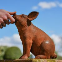 Rustic Cast Iron Sitting Piglet Sculpture to Scale