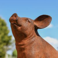 Close-up of Rustic Cast Iron Sitting Piglet Sculpture