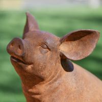 Close-Up of Facial Dertail