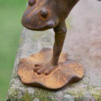 Close up of Frog on Lily Pad Close up of Frog on Lily Pad