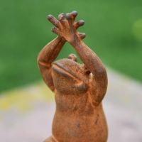 Close up of Frog Sculpture 