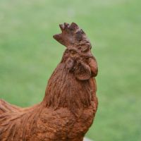 Close up of Cast Iron Rooster Garden Sculpture Close up of Cast Iron Rooster Garden Sculpture