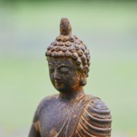 Close up of Rustic Iron 