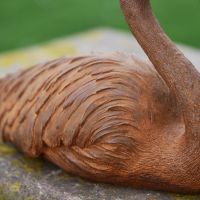 Close up of Flamingo Body on Sculpture Close up of Flamingo Body on Sculpture