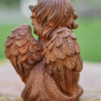 Close up of Wings on Angel