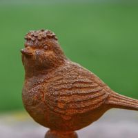 Cast Iron Bird with Flowers in Rustic 