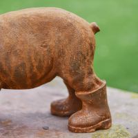 Close up Pig with Wellies 