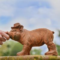 Rustic Cast Iron Pig in Wellies 
