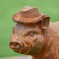 Close up of Pig with Straw Hat