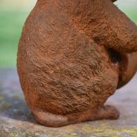 Close up of Chipmunk Fur Detailing 