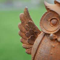 Close up of Owl Wing 