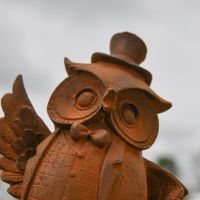 Close up of Owl Face and Top Hat 