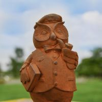 Close up of Owl Head and Body Close up of Owl Head and Body