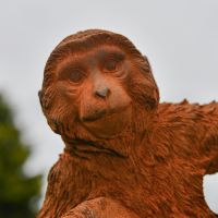 Close-Up of Rustic Cast Iron "Scratching" Monkey Sculpture