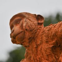 Side View of Rustic Cast Iron "Scratching" Monkey Sculpture