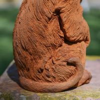 Close up of Monkey Fur 