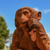 Close up of Cast Iron Monkey Face 