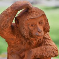 Rustic Cast Iron Monkey Sculpture Scratching Head 
