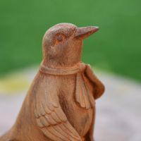 Close up of Hummingbird Head 