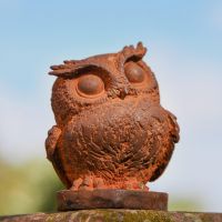 Rustic Cast Iron Great Horned Owl Sculpture in Garden Setting  Rustic Cast Iron Great Horned Owl Sculpture in Garden Setting