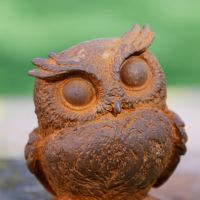 Close up of Rustic Cast Iron Owl Sculpture  Close up of Rustic Cast Iron Owl Sculpture