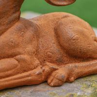 Close-Up of Body Detail