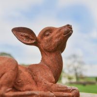 Cloe-Up of Facial Detail