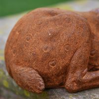 Close-Up of Body Detail