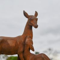 Close-Up of Facial Detail on Doe Sculpture