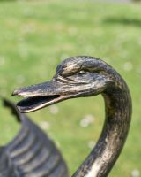 Close up of Black and Gold "Conqueror" Swan Sculpture head