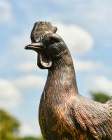 Close up of intricate face detail on rooster garden statue