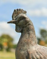 Close up of face detail on cockerel garden statue