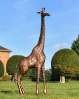 Copper Finish Giraffe Cast Aluminium Sculpture