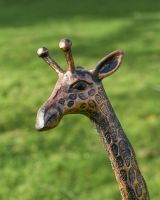 Close up of Copper Finish Giraffe Cast Aluminium Sculpture head