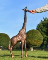Scale image of Copper Finish Giraffe Cast Aluminium Sculpture