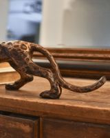 Close up of leopard tail Close up of leopard tail