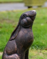 ‘Meadow’ Cast Aluminium Large Rabbit Looking Up - Bronze close up of head
