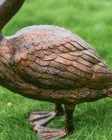 Open Beak Swan Sculpture close up of wing Open Beak Swan Sculpture close up of wing